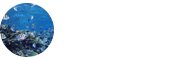 " https