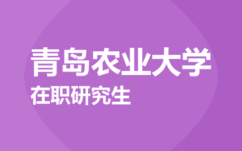 两者都保留在站内即可形成完整阅读路径