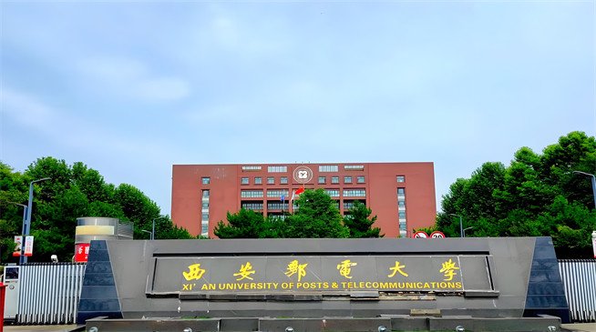 公开信息按发布时间滚动
